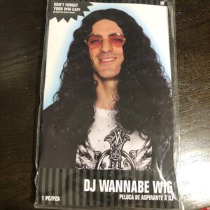 Mens "DJ Wannabe" Howard Stern Halloween Costume Wig